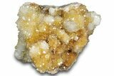 Sparkling Cactus Quartz Crystal Cluster - South Africa #303477-1